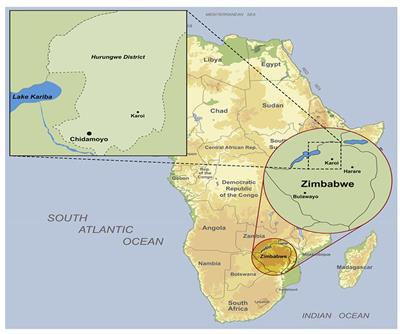 Co-creation of human papillomavirus self-sampling delivery strategies for cervical cancer screening in rural Zimbabwe: nominal group technique